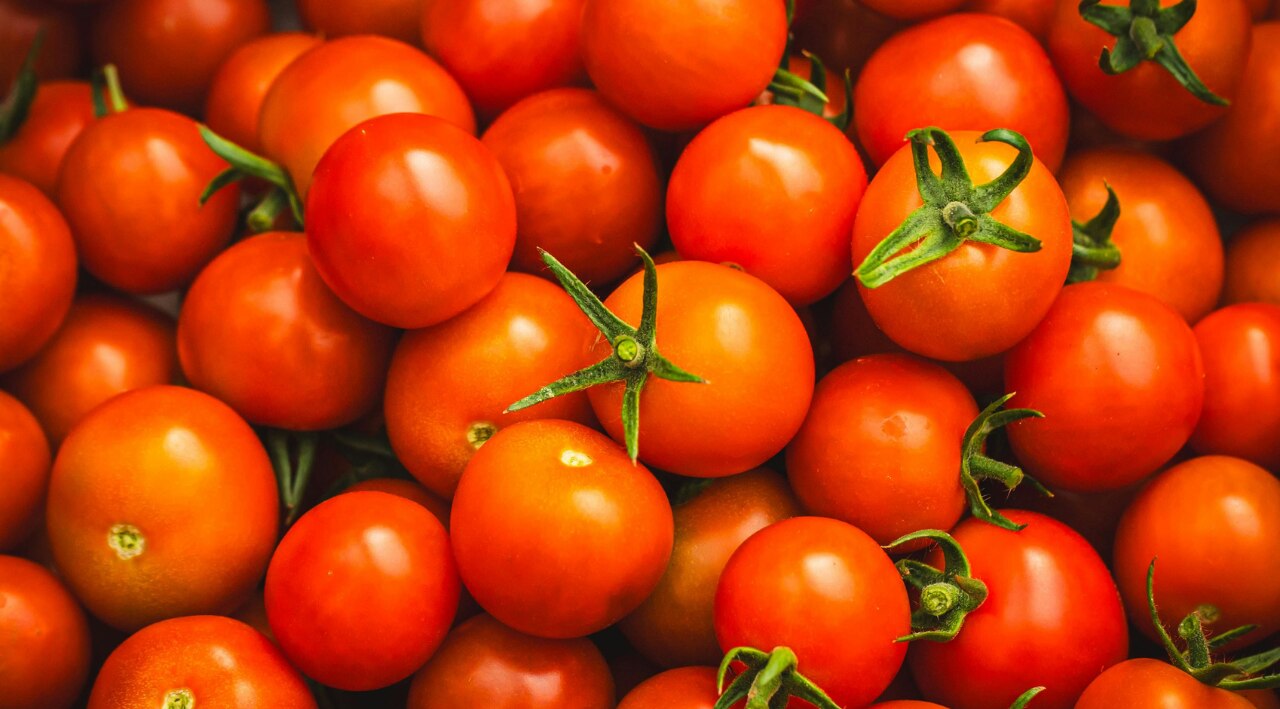 Tomatoes (94% Water)
