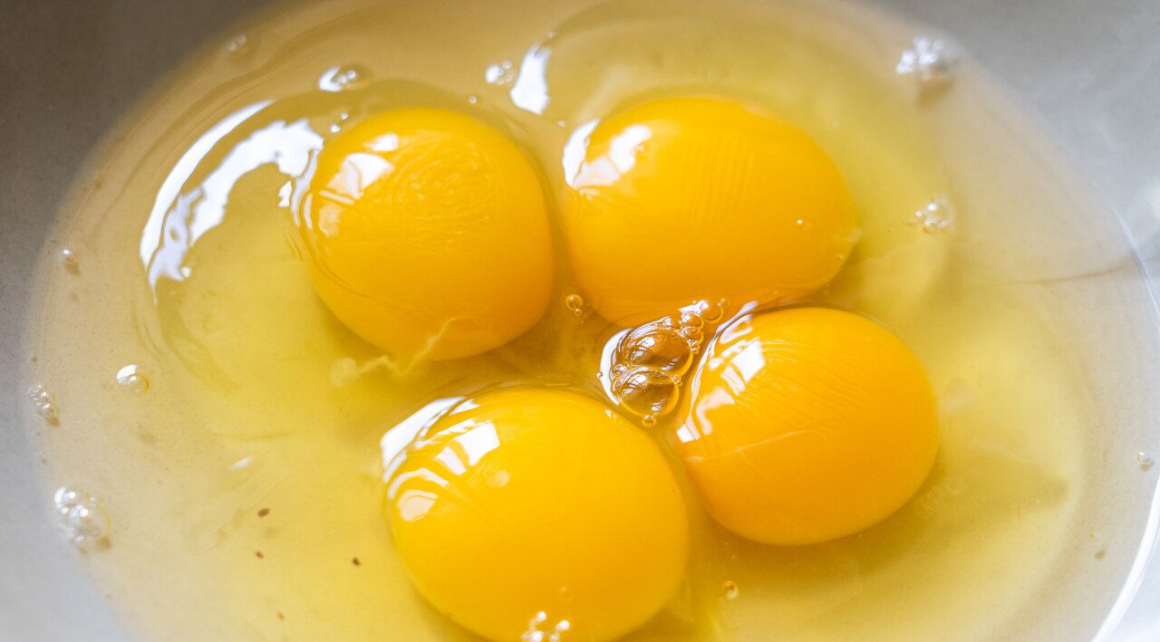 Egg