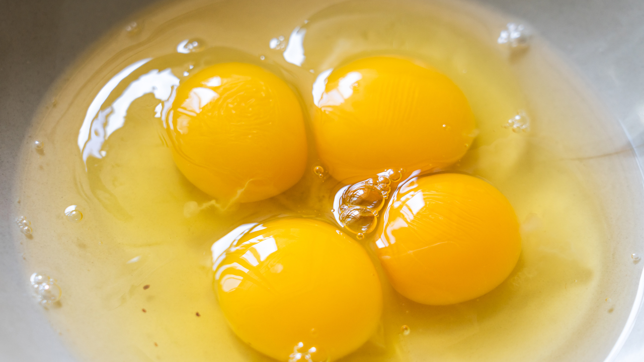 Egg