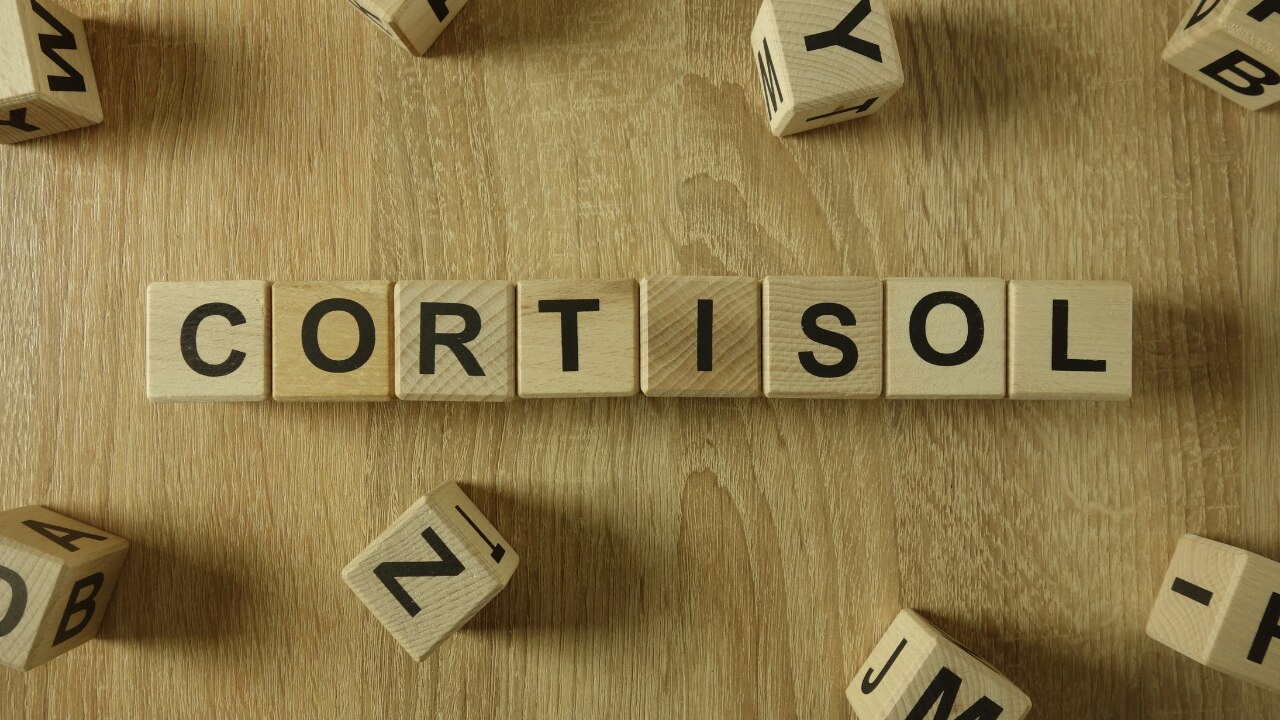 What Cortisol Means: A Quick Introduction to the Stress Hormone
