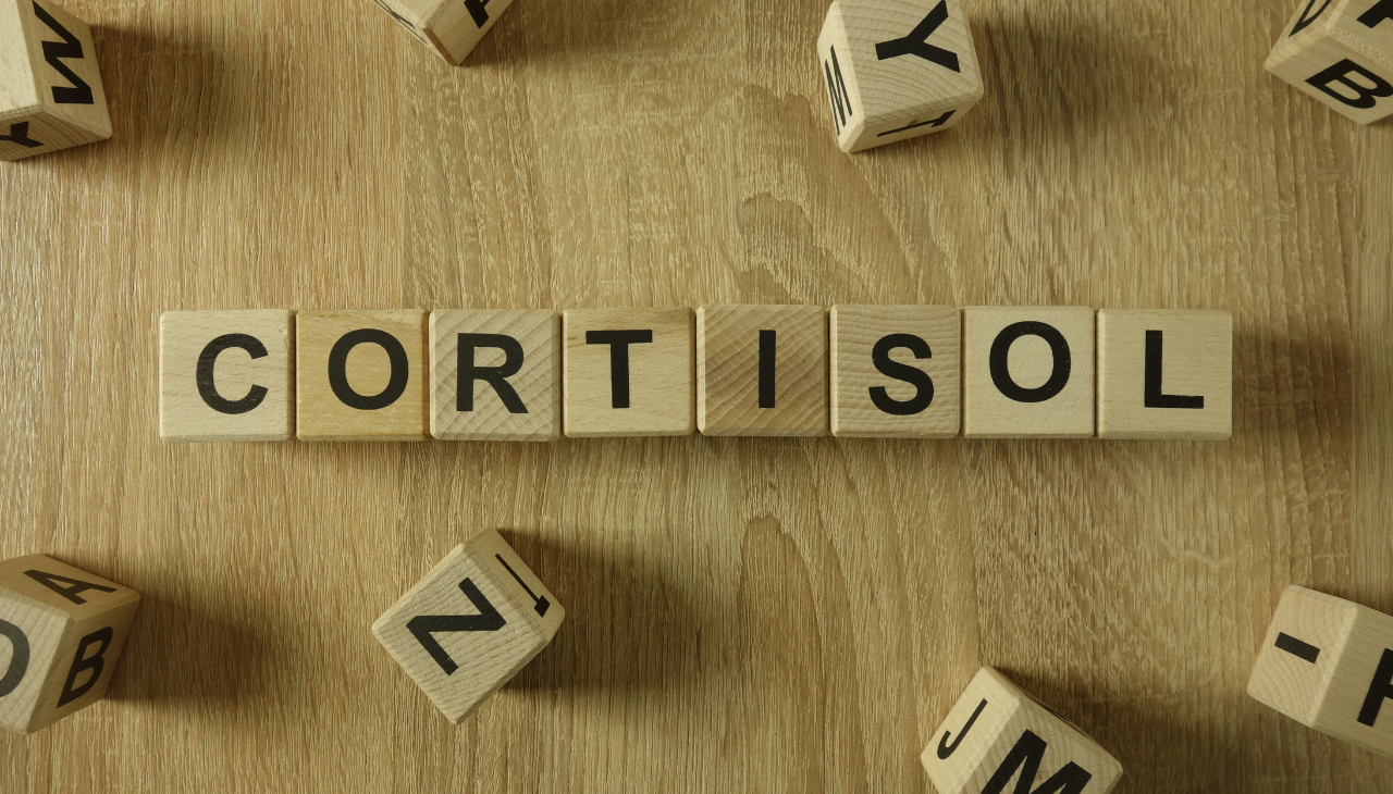 What Cortisol Means: A Quick Introduction to the Stress Hormone