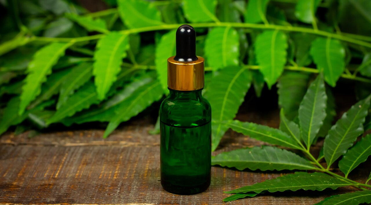 7. Onion + Neem Oil (For Scalp Infections)