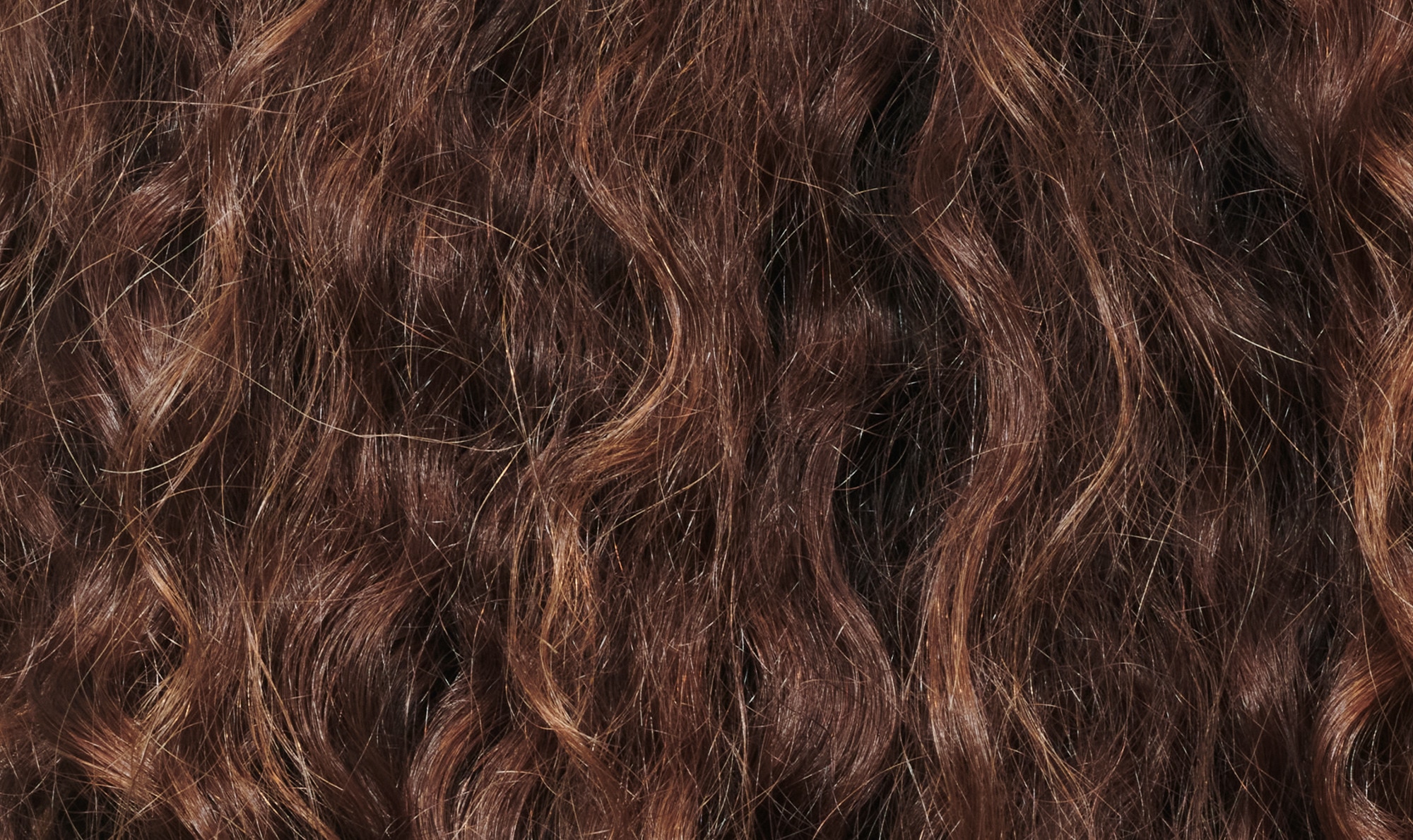 Close up of long brown curly hair