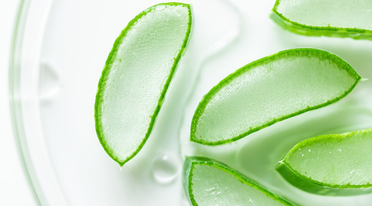 1. Aloe Vera Gel