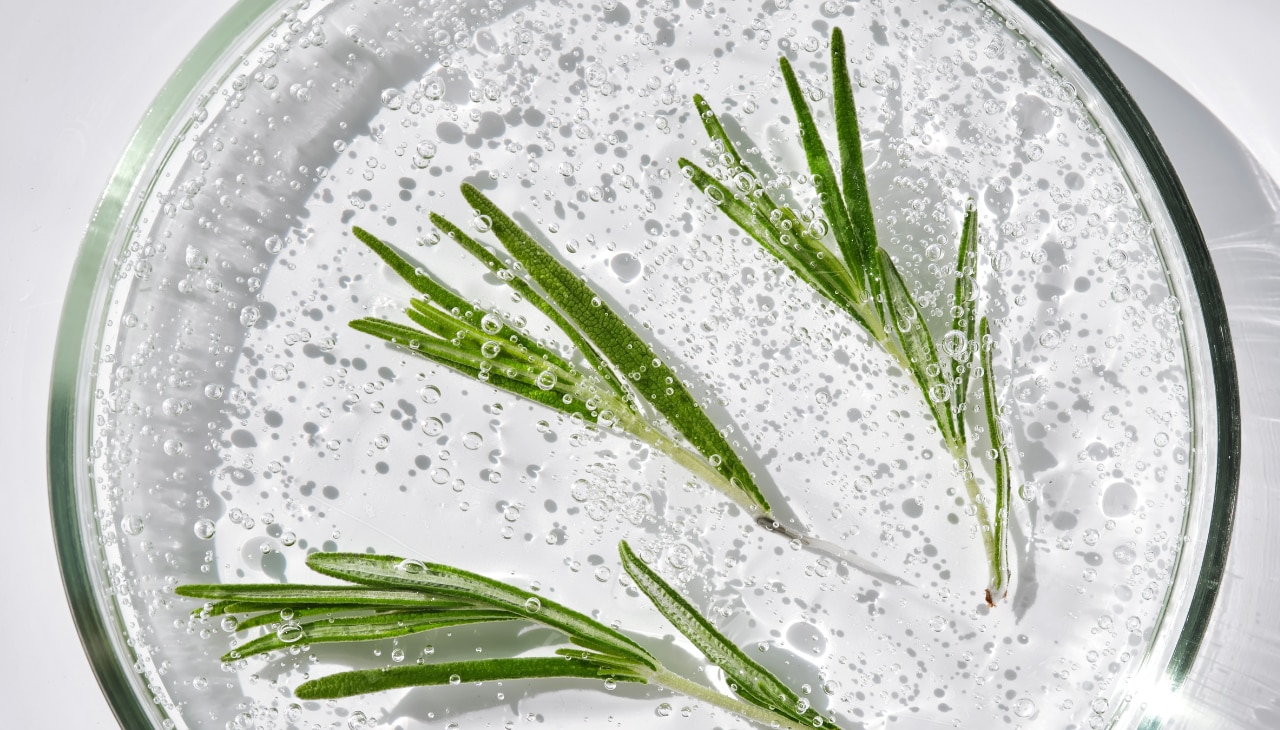 What Is Rosemary Shampoo?-