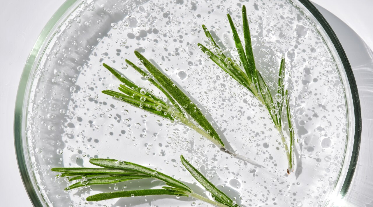 What Is Rosemary Shampoo?-