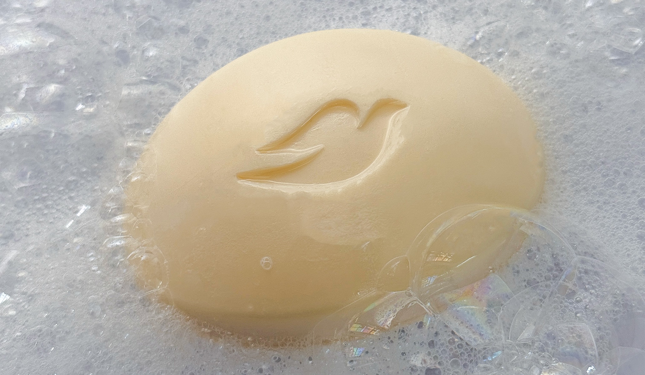 Dove Beauty Bar in foamy lather