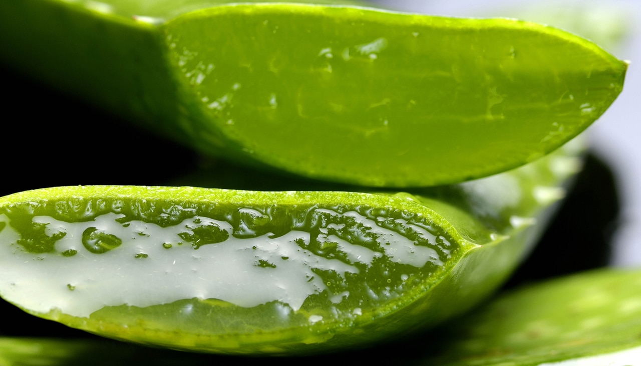 2. Aloe Vera Gel