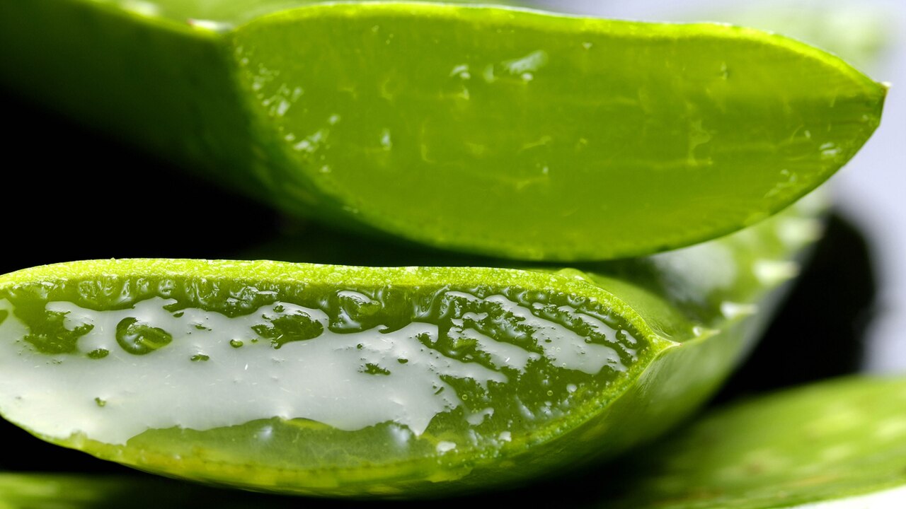 2. Aloe Vera Gel