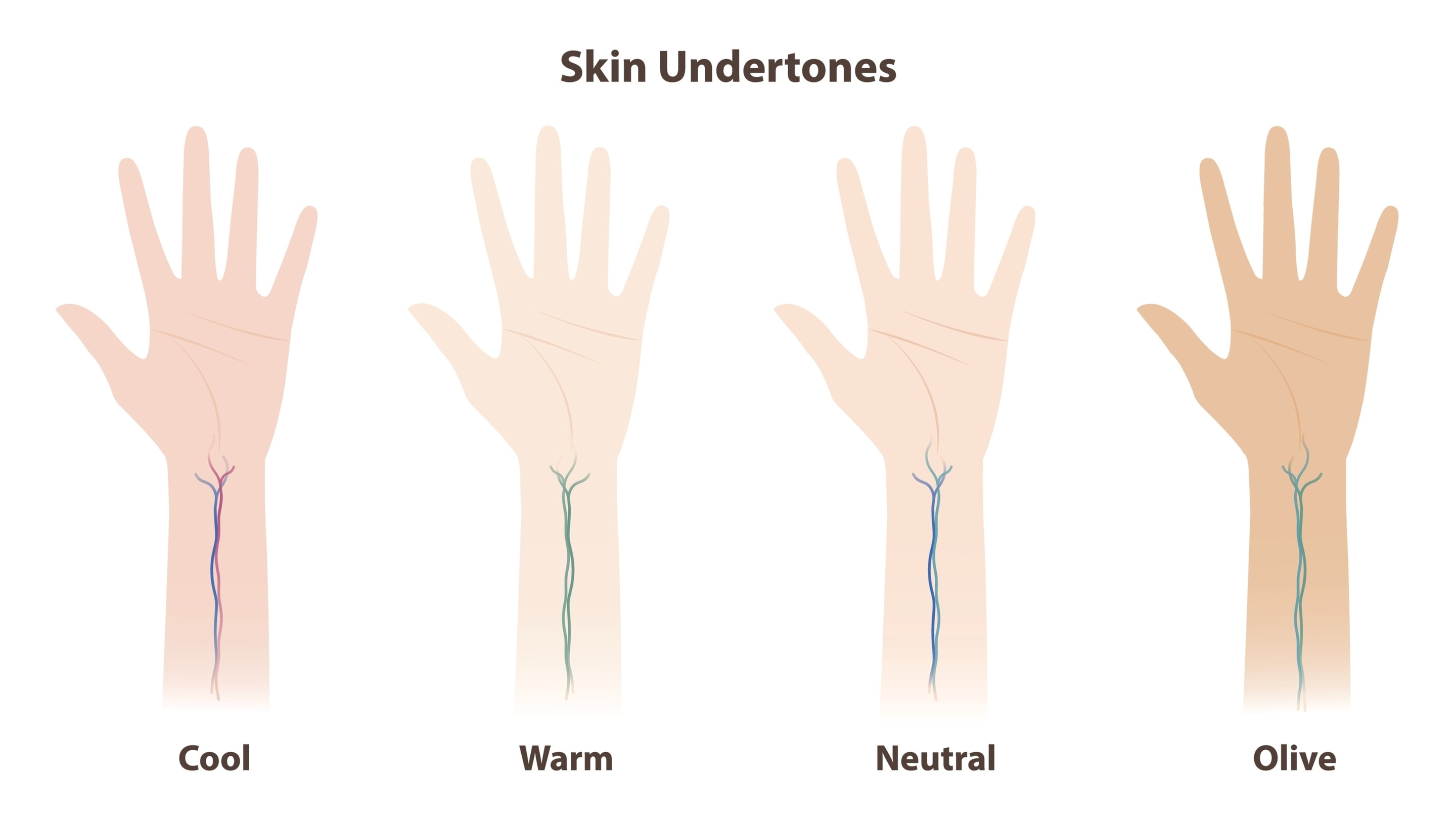 Understanding Your Skin Tone and Undertone