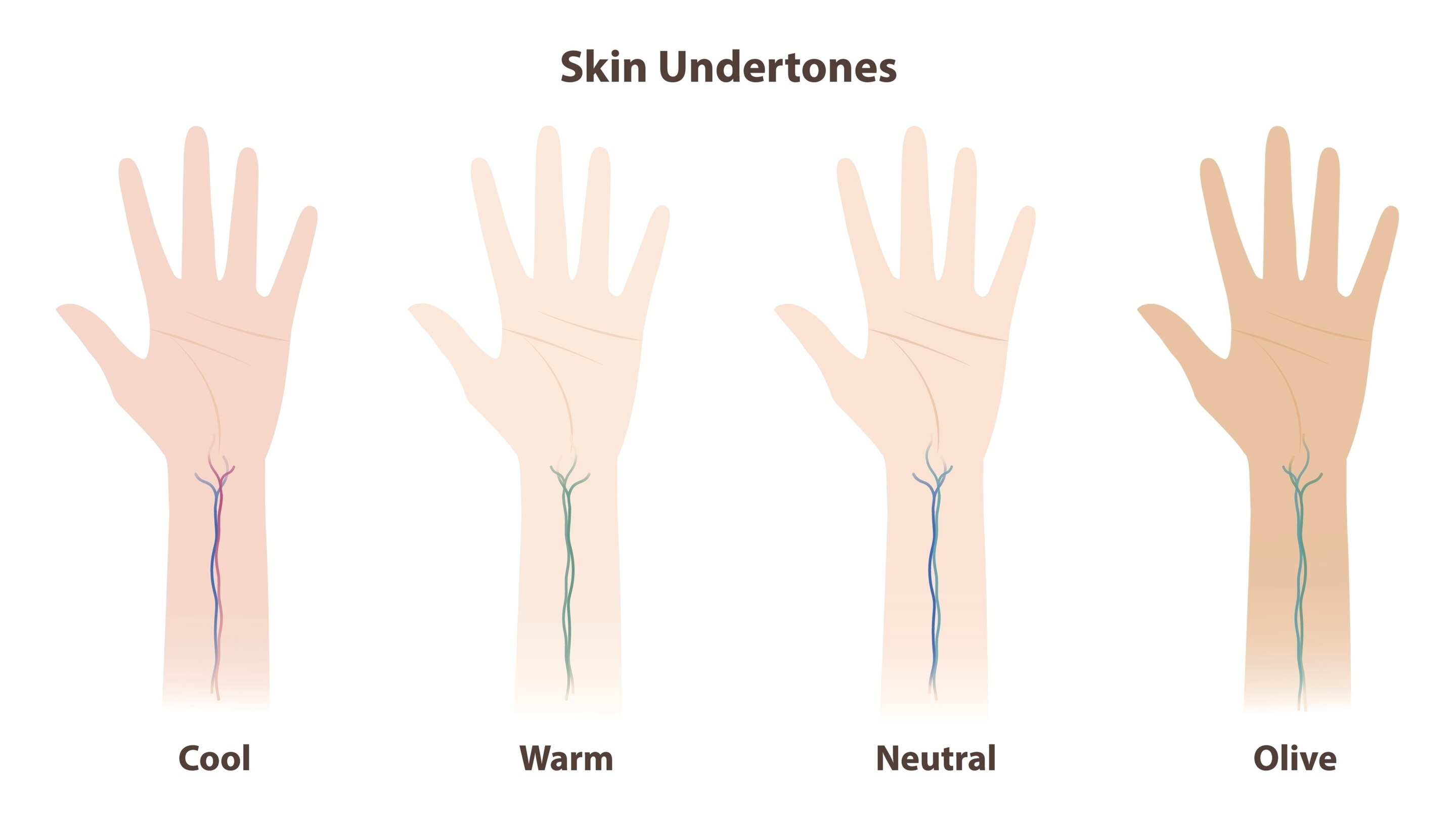 Understanding Your Skin Tone and Undertone