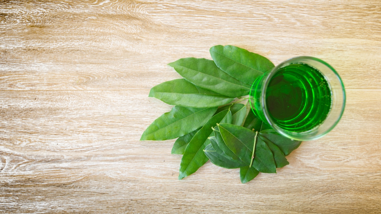 A Modern Solution: LBP Curry Leaves, Biotin & Mandarin Shampoo