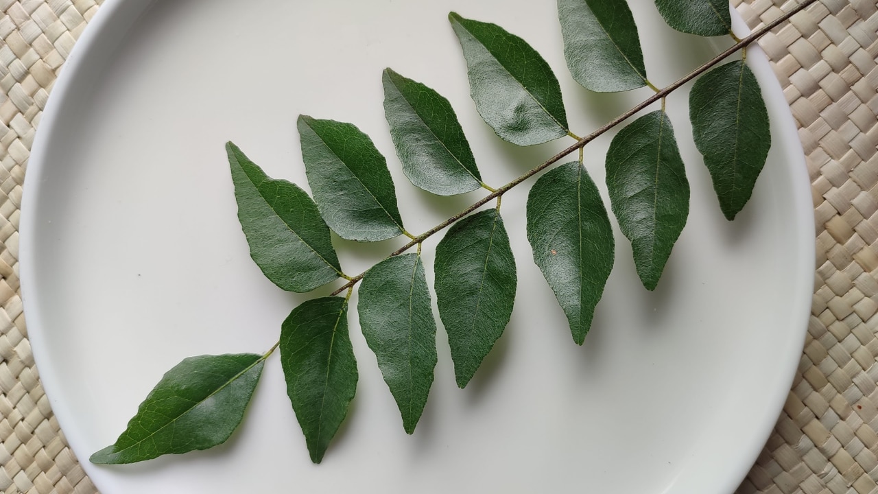 Side Effects & Precautions