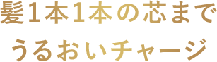 髪1本1本の芯までうるおいチャージ