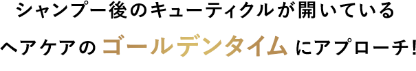 シャンプー後のキューティクルが開いている ヘアケアのゴールデンタイムにアプローチ!