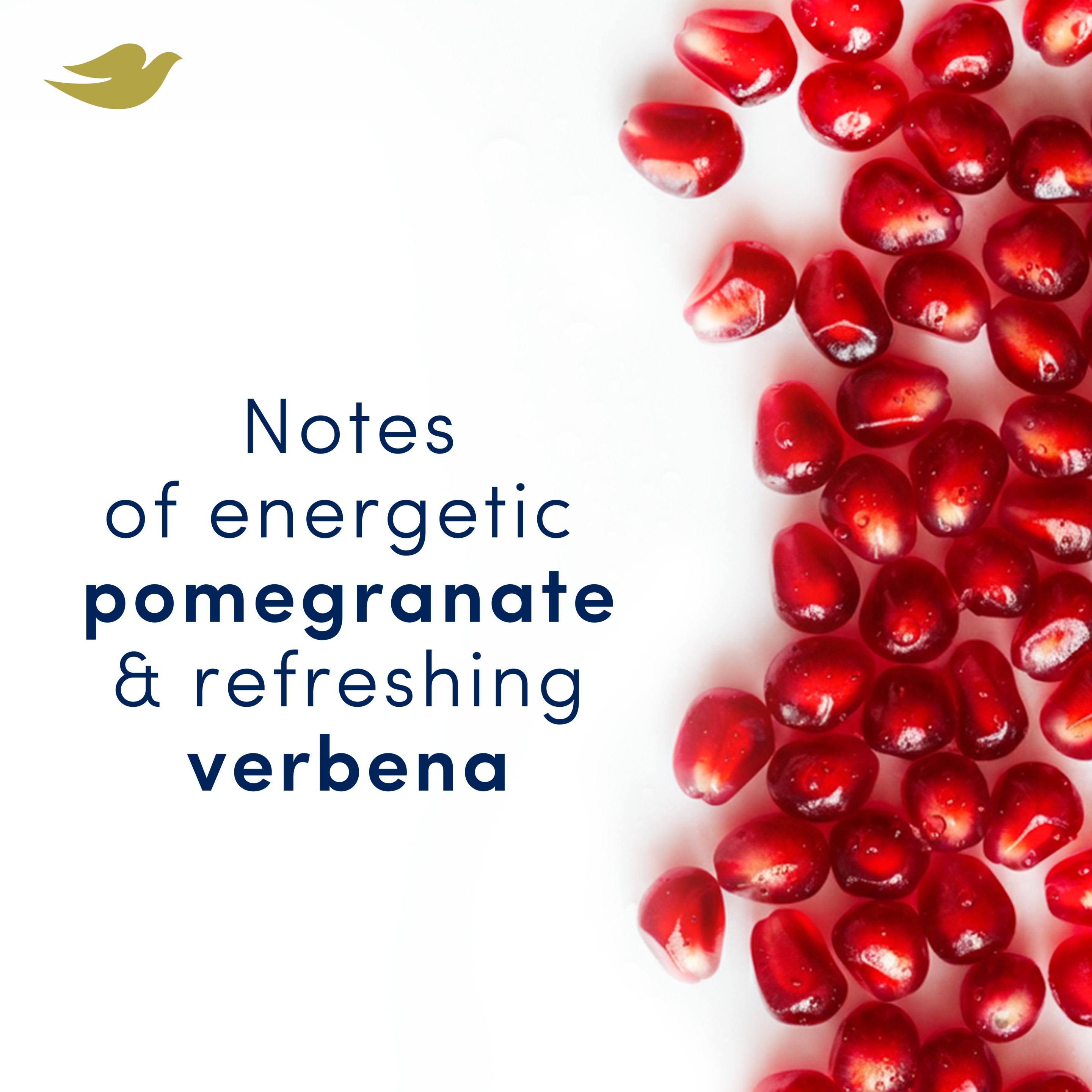 Advanced Antiperspirant Aerosol Pomegranate