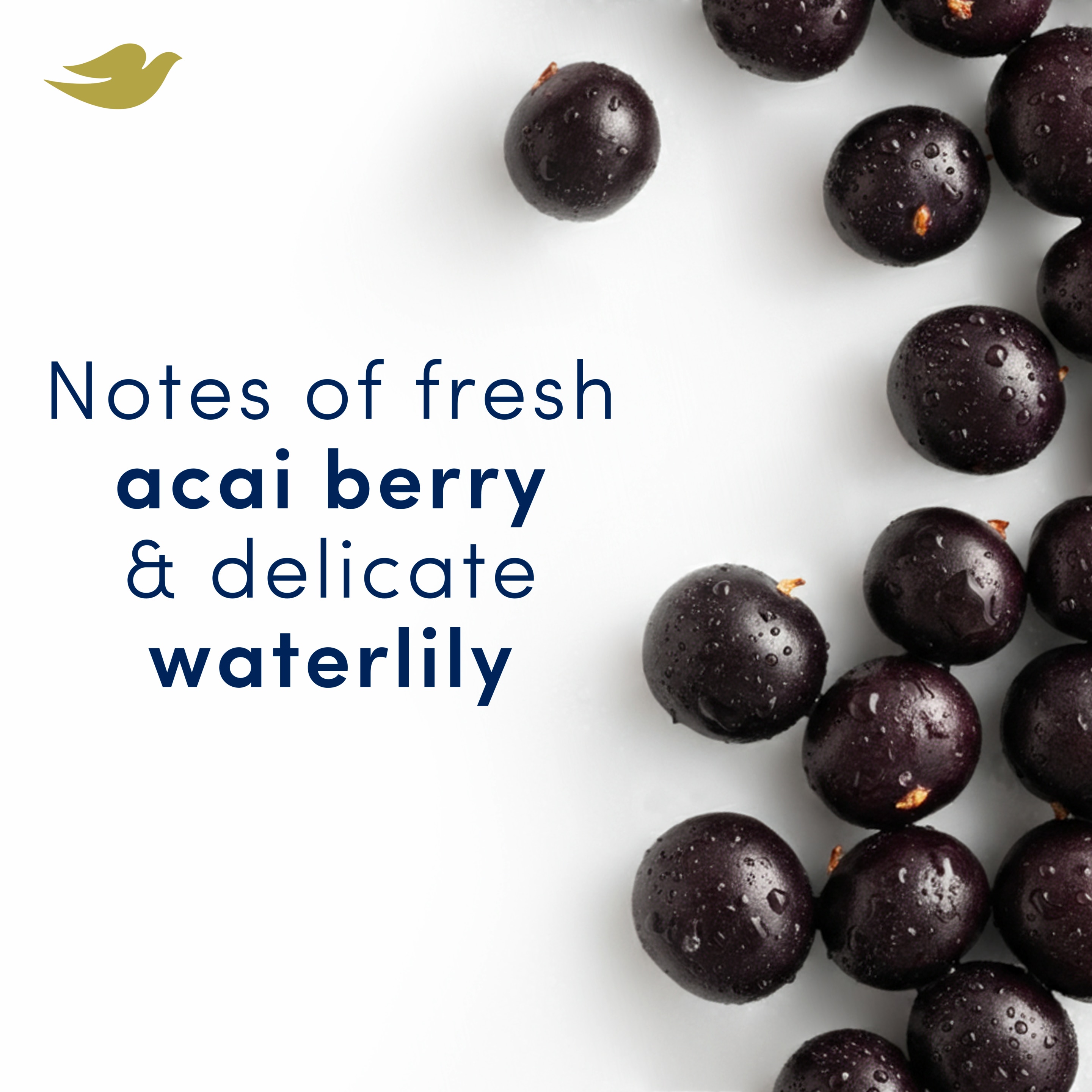 Advanced Antiperspirant Aerosol Acai Berry And Waterlily