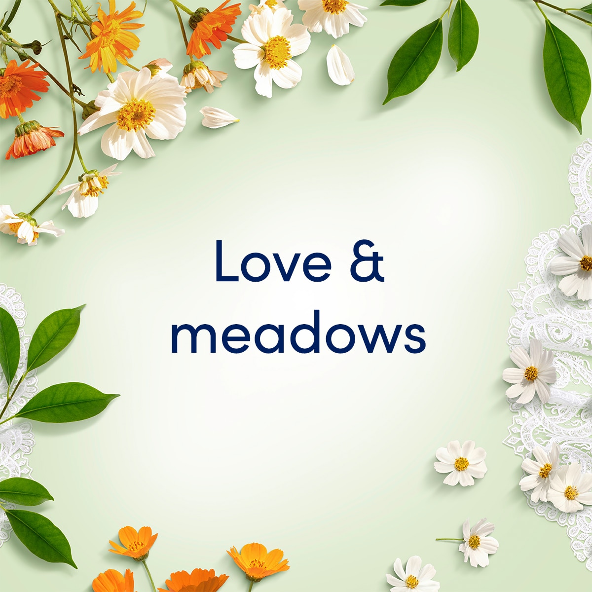 Green background with orange and white colored flowers. 