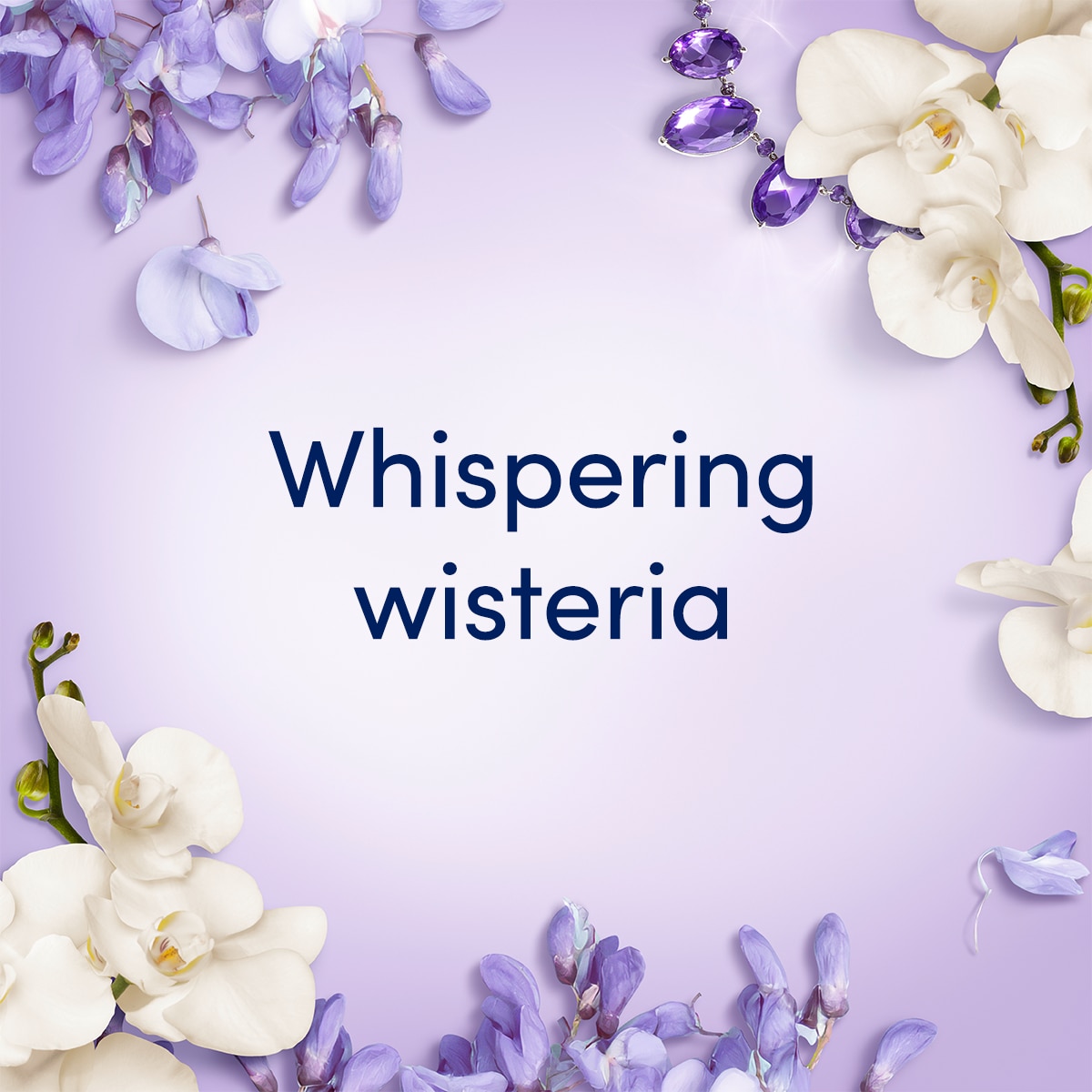 Purple background with wisteria flowers along the border. 