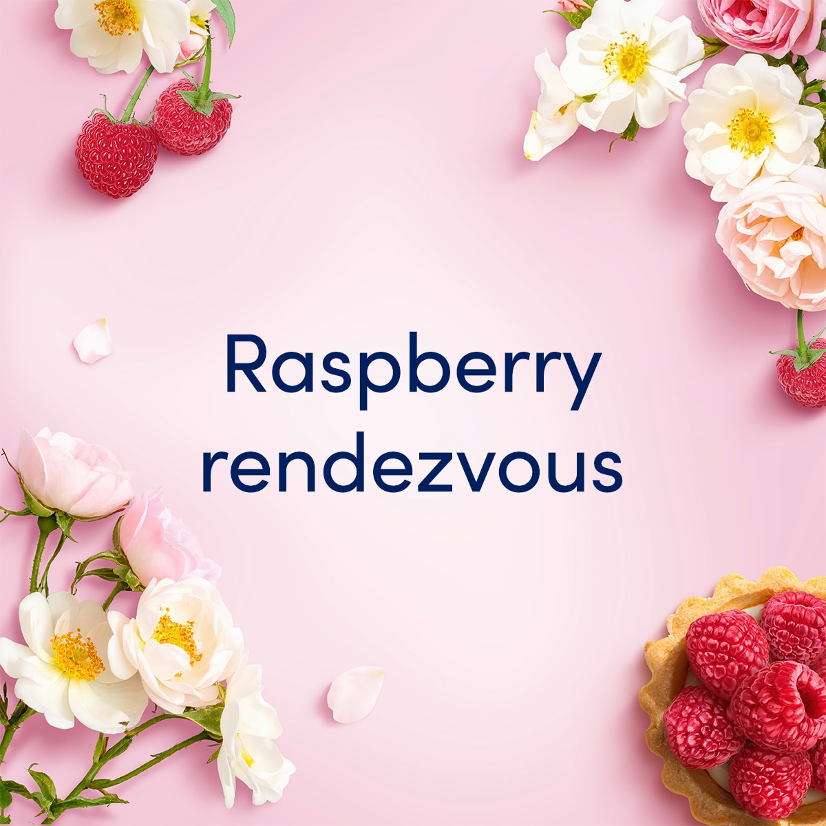 Pink background with rasberries and pink and white flowers. 