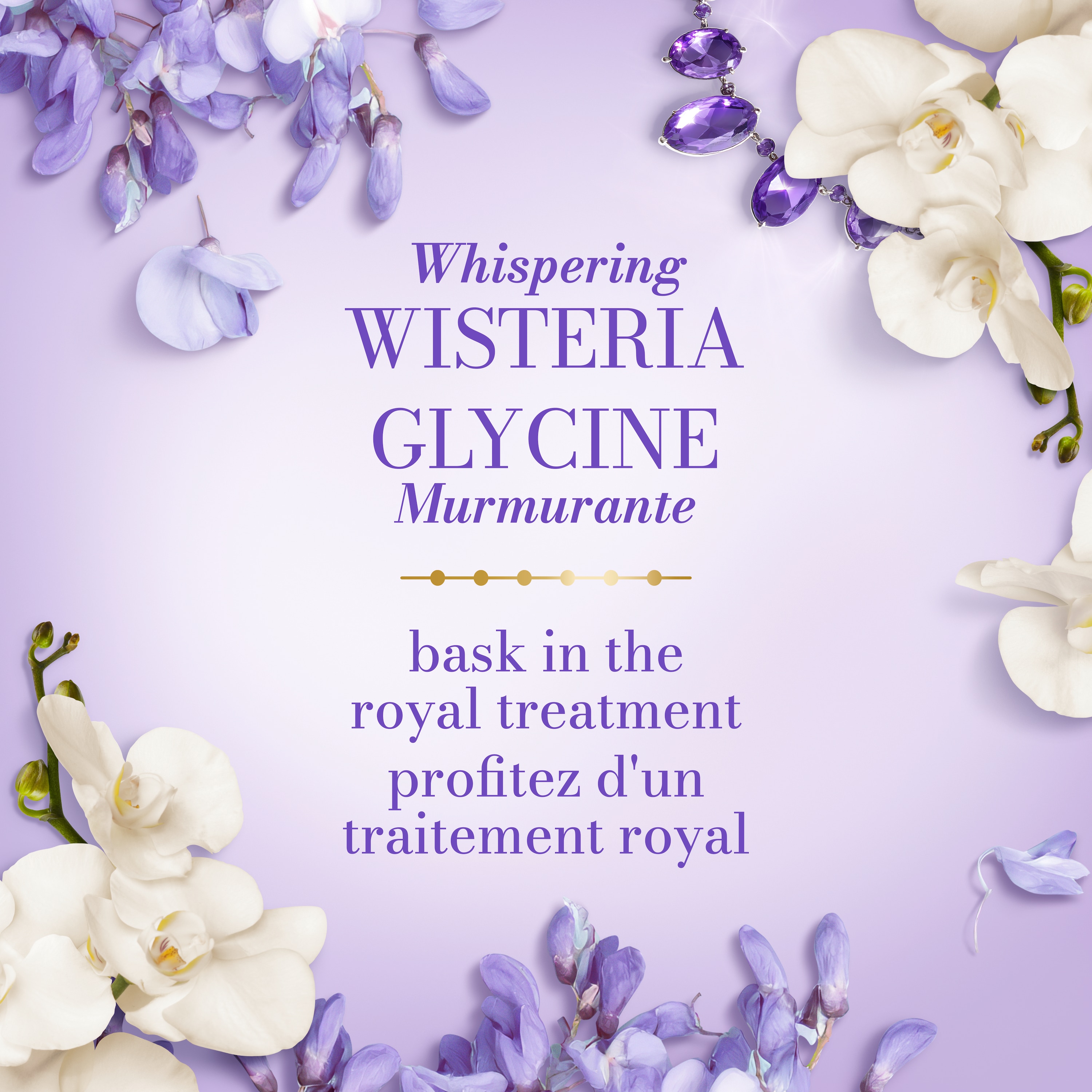 purple background with wisteria flowers along the border