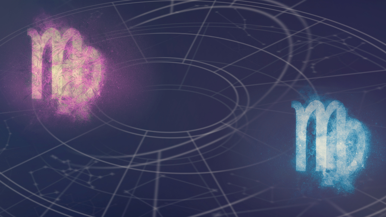 Virgo Zodiac Sign Facts