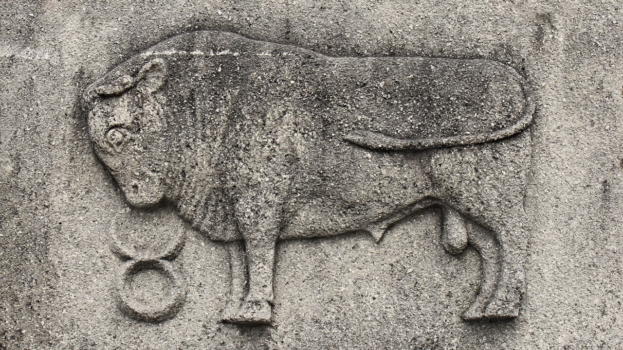 What Is the Taurus Zodiac Sign?