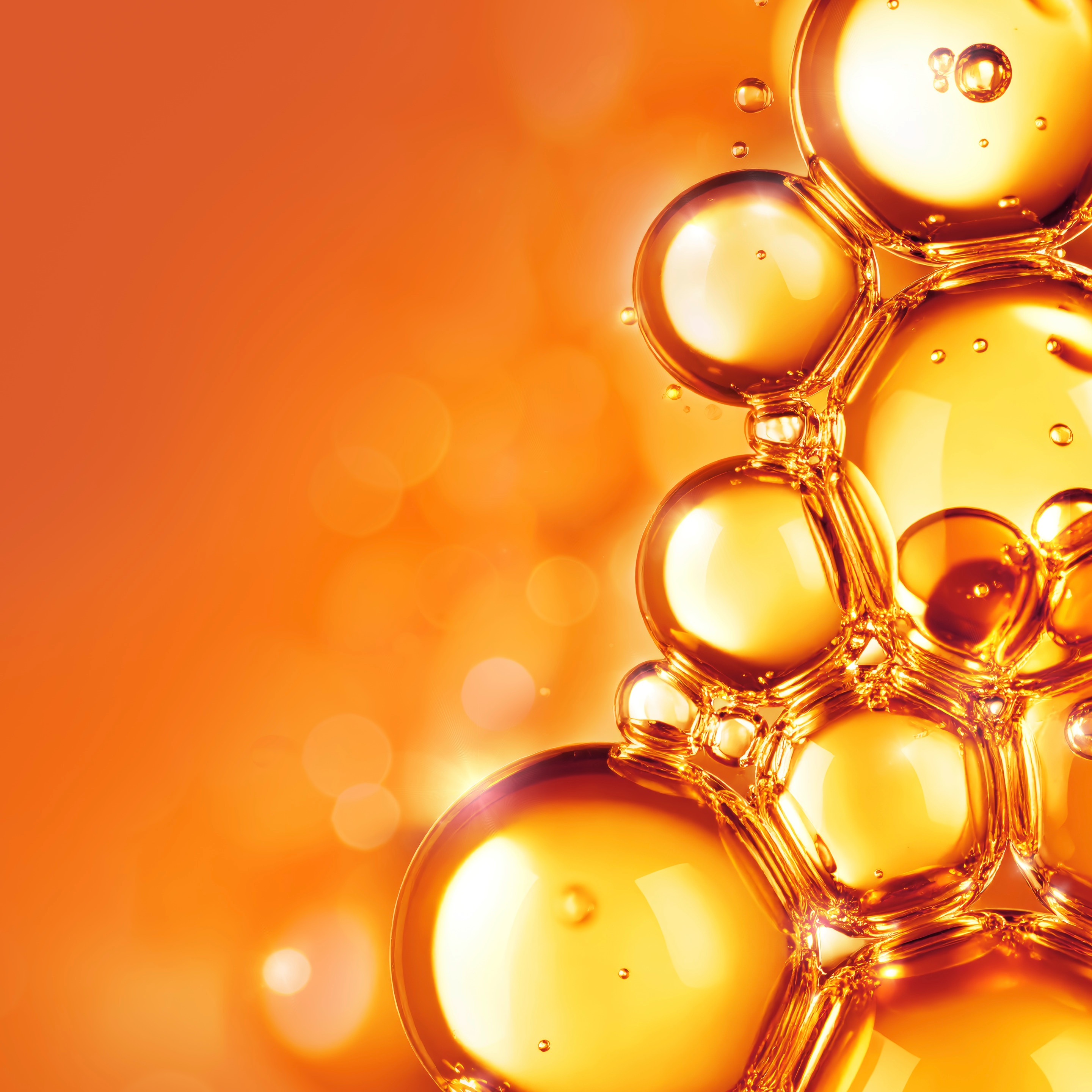 All about ingredients