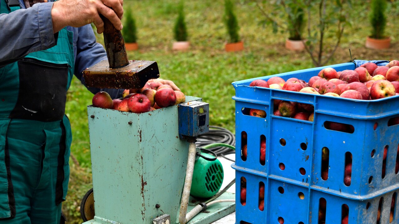 Understanding Apple Cider Vinegar: What Makes It Work?