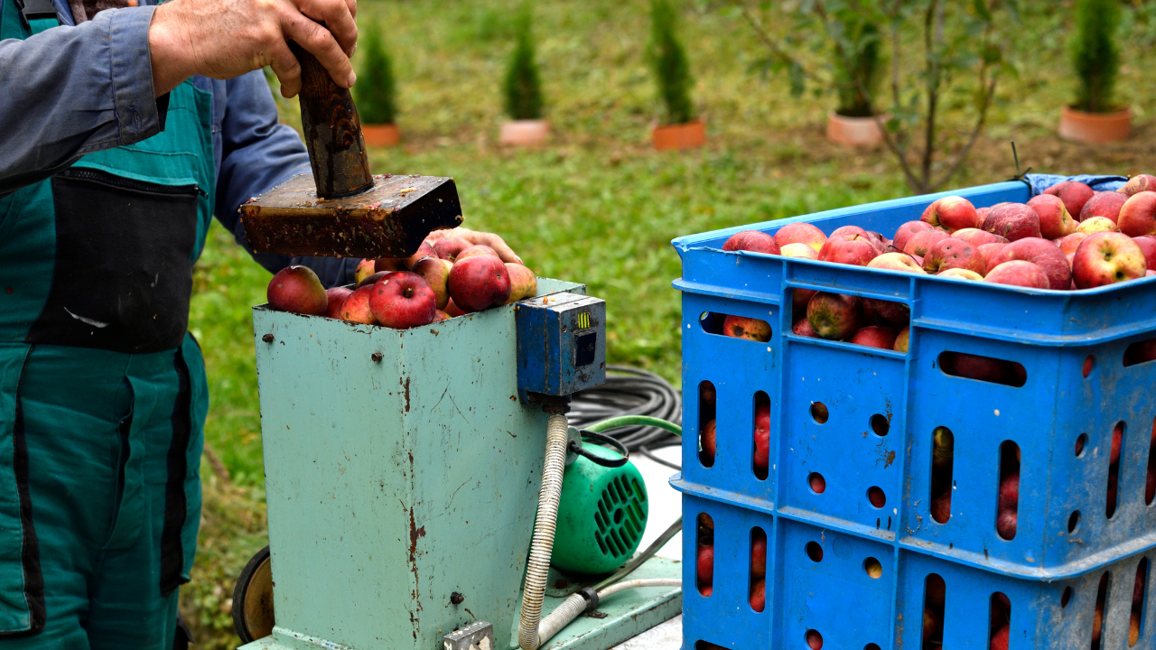 Understanding Apple Cider Vinegar: What Makes It Work?