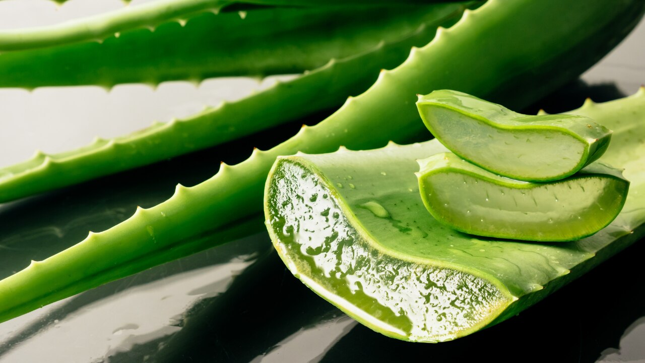 Why Aloe Vera Gel Is Good For Skin