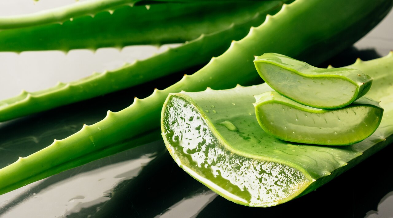 Why Aloe Vera Gel Is Good For Skin
