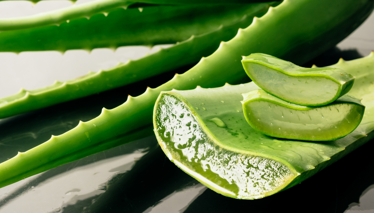 Why Aloe Vera Gel Is Good For Skin