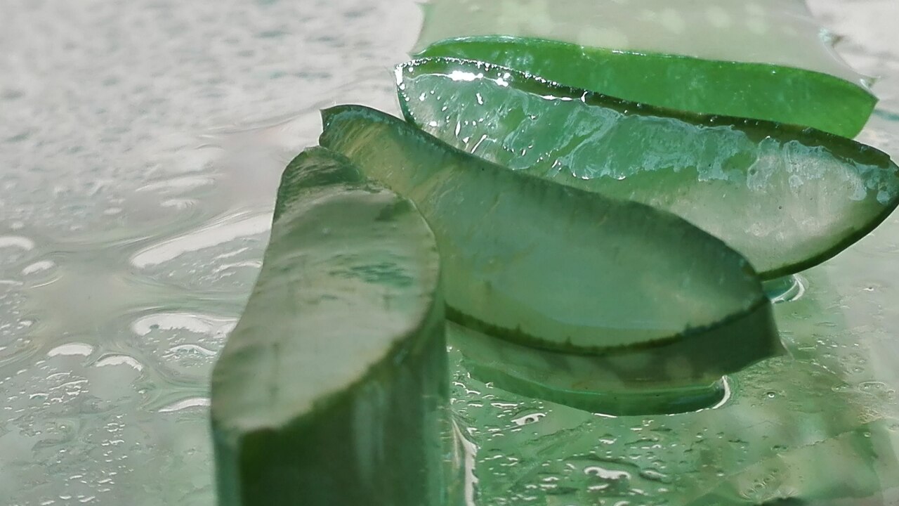 Tips for Using Aloe Vera Safely