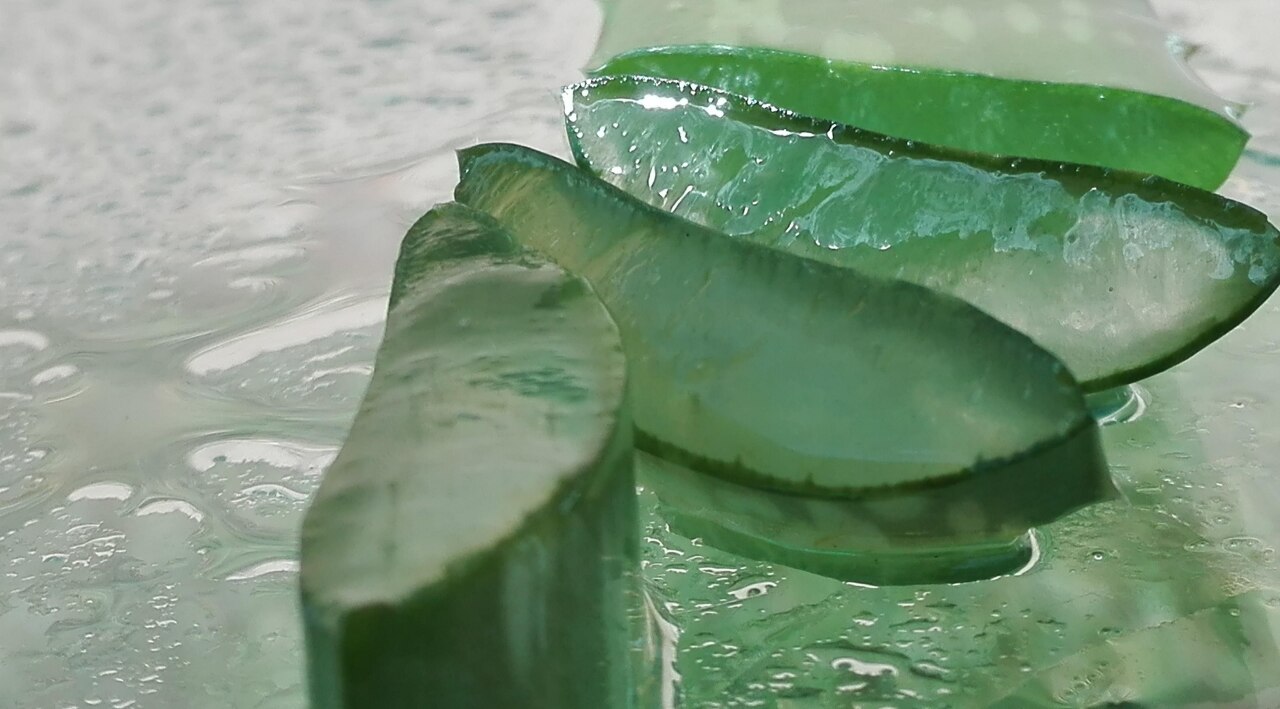 Tips for Using Aloe Vera Safely