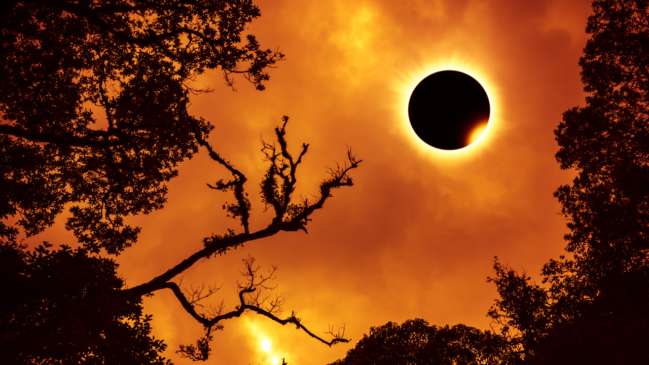 What Is a Solar Eclipse?