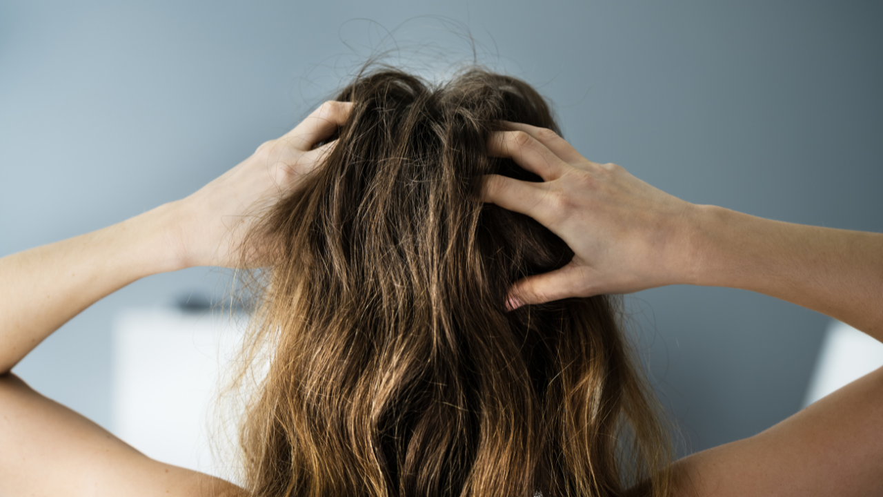 6. Aloe Vera and Coconut/Olive Oil (For Dry Scalp)
