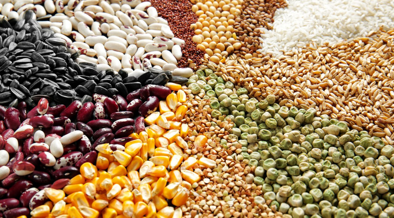 Quinoa vs. Other Grains