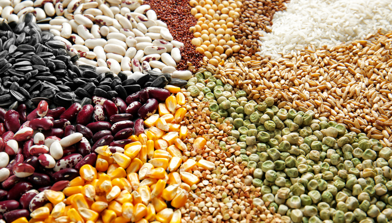 Quinoa vs. Other Grains
