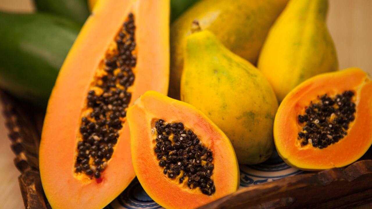 Papaya Enzymes: