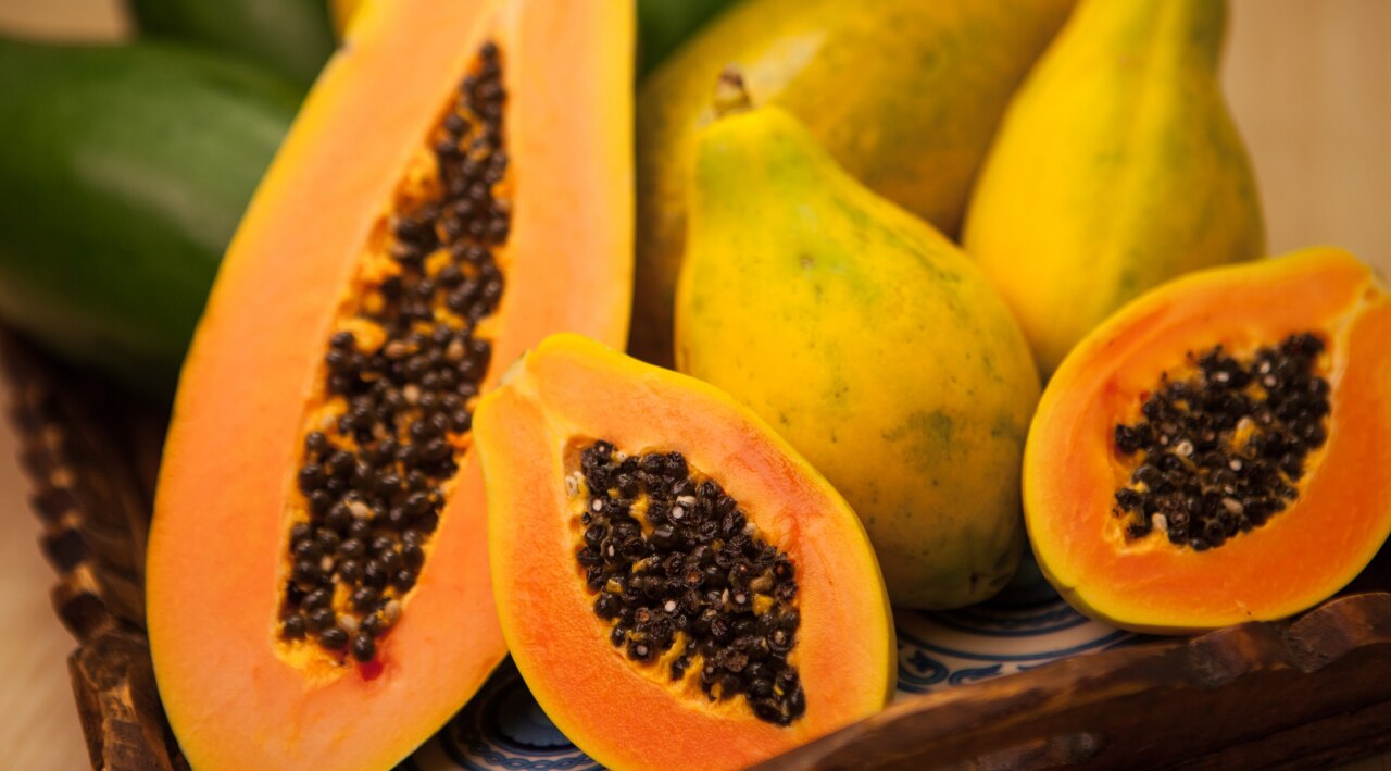 Papaya Enzymes: