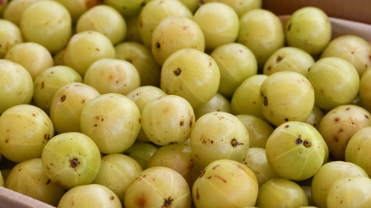 Amalaki (Indian Gooseberry):