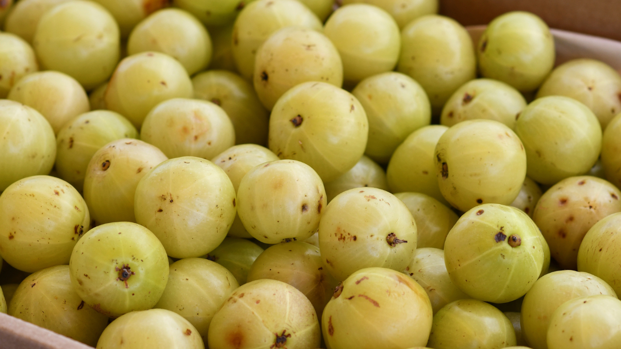 Amalaki (Indian Gooseberry):