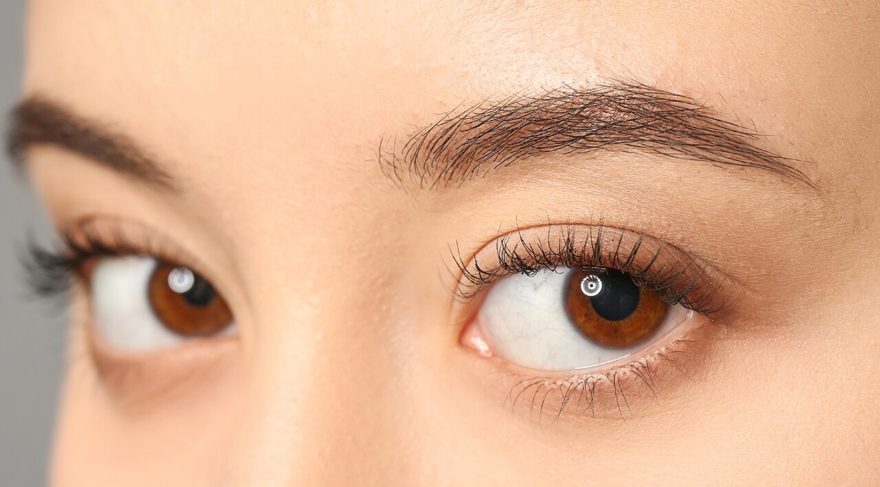 Best Picks for Every Brow Type