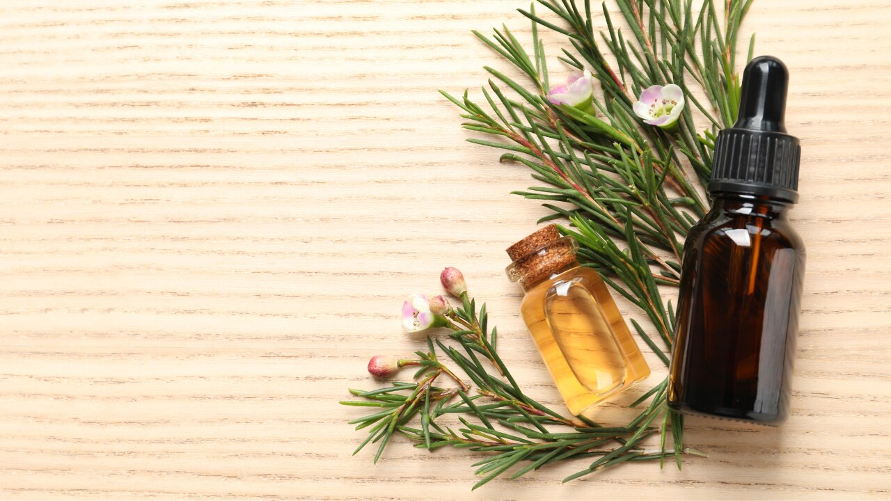What Is Tea Tree Oil?