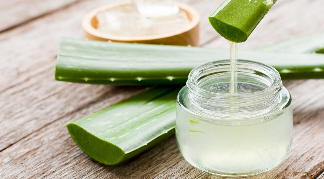 1. The Soothing Power of Aloe Vera