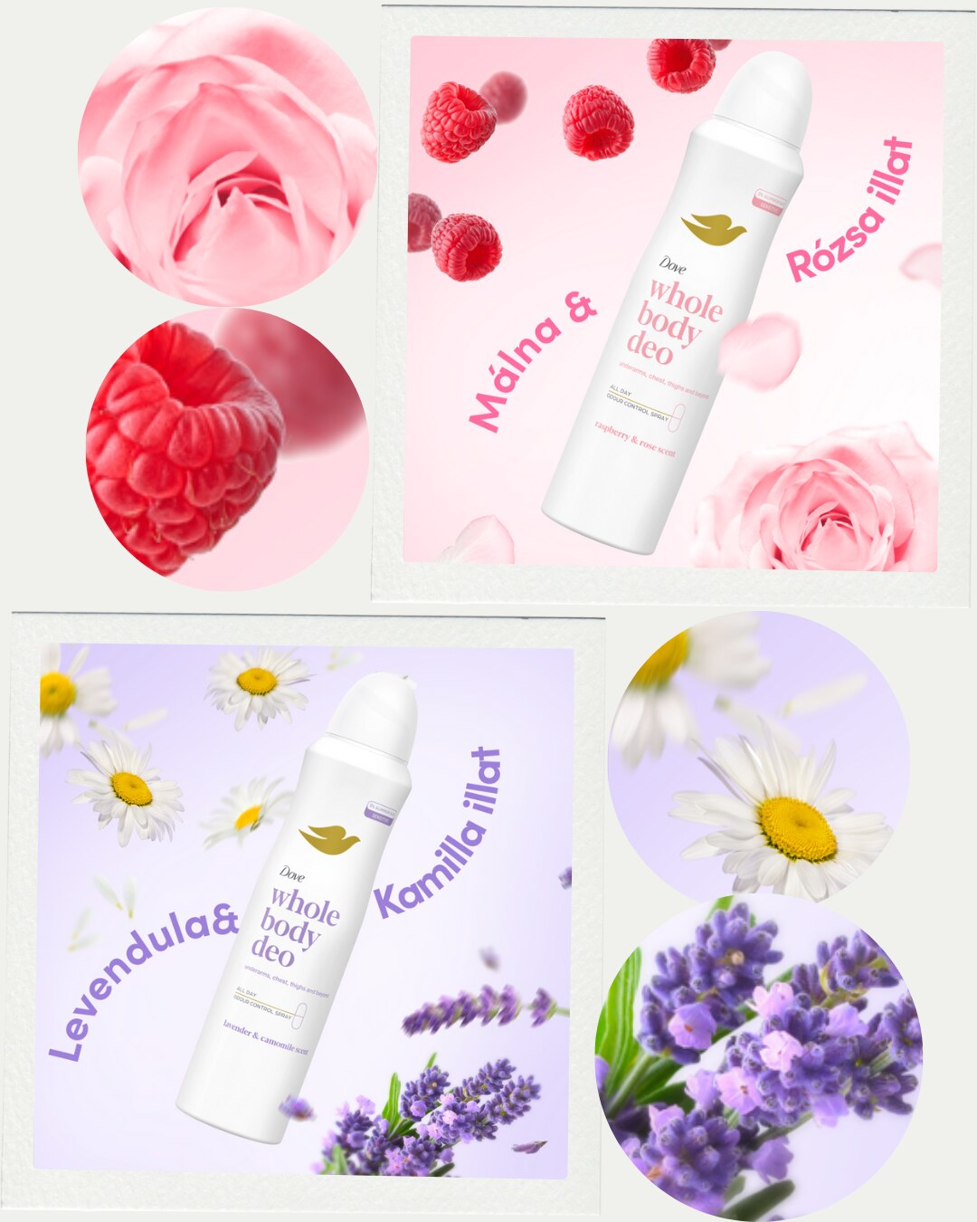 Teljes test dezodorok