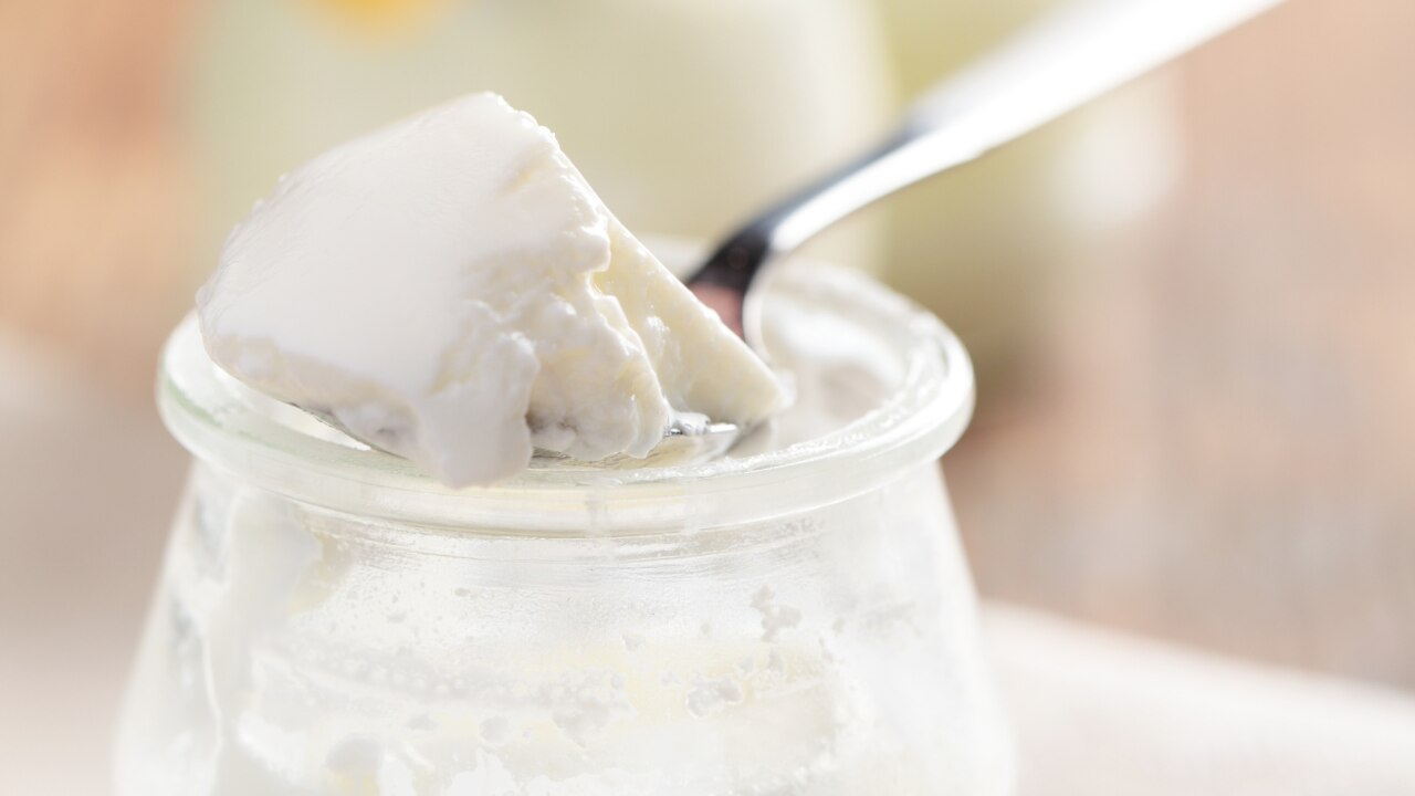 Uses of Curd for Different Hair Types