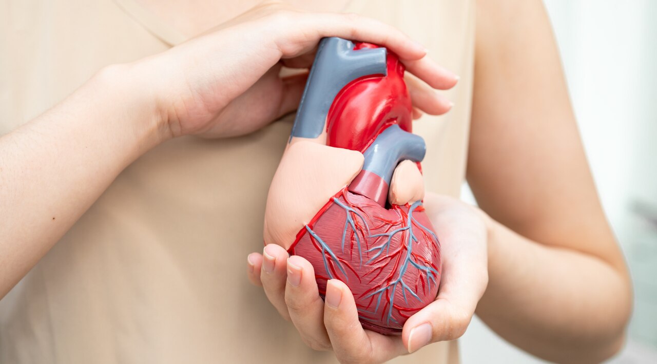 Promotes Heart Health: