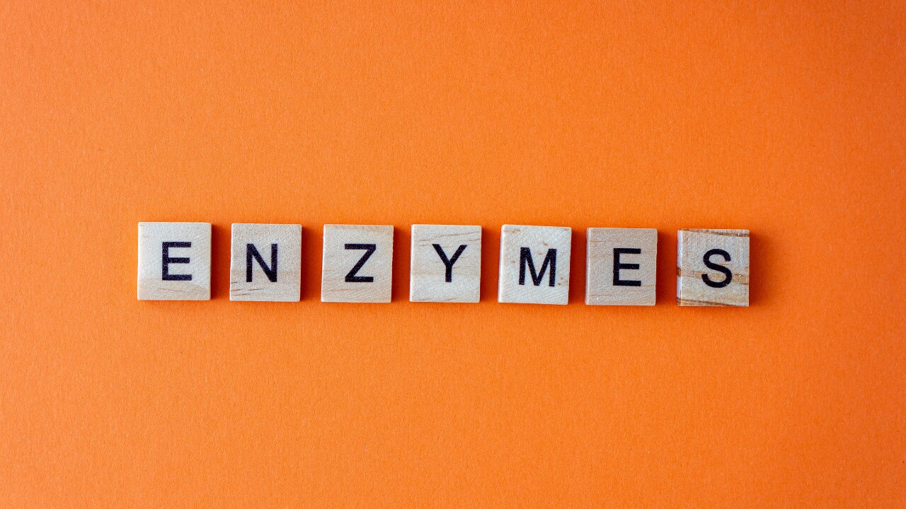 Immune System Support: